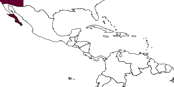 map of Xerochrum rubeum     Bohart, 1980