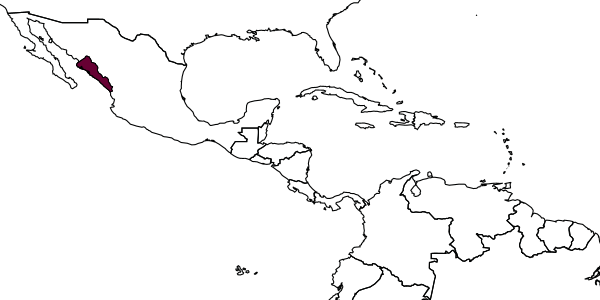 map of Perdita venustella     Timberlake, 1980