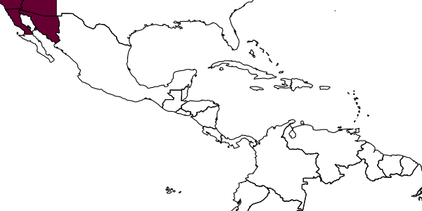 map of Ericrocis arizonensis     Baker, 1906
