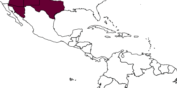 map of Ptilothrix chiricahua     Flórez-Gómez & Danforth, 2023