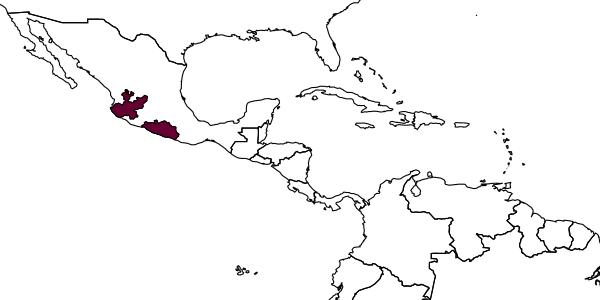 map of Entomognathus guerreroi     Bohart, 1995