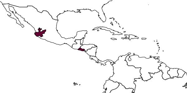 map of Anoplius cirratus     Evans, 1968