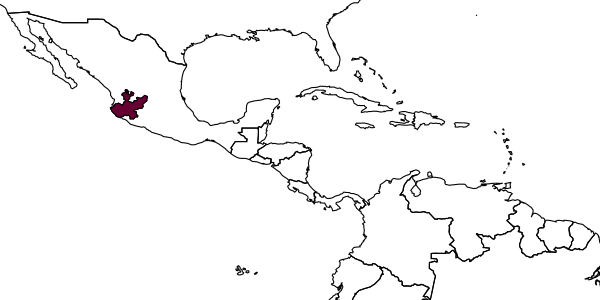 map of Lasioglossum manantlense     Ayala & Packer, 2020