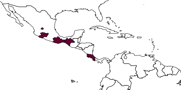 map of Probles megasoma     Khalaim & Ruíz-Cancino, 2019