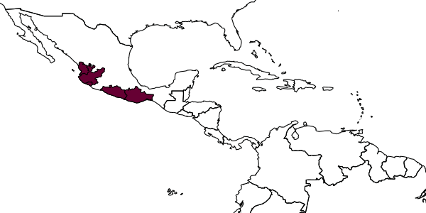 map of Lestrimelitta chamelensis     Ayala, 1999