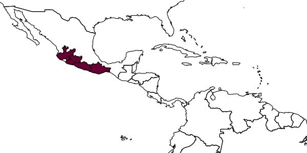 map of Omphale uruapana     Hansson, 1997