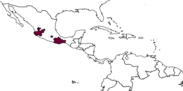 map of Yelicones setosus     Quicke, Chishti & Basbuyuk, 1996