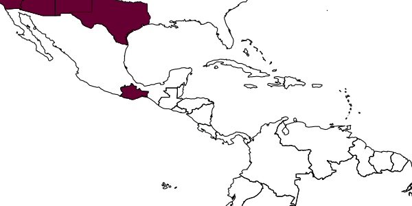 map of Pristocera cockerelli     Evans, 1963