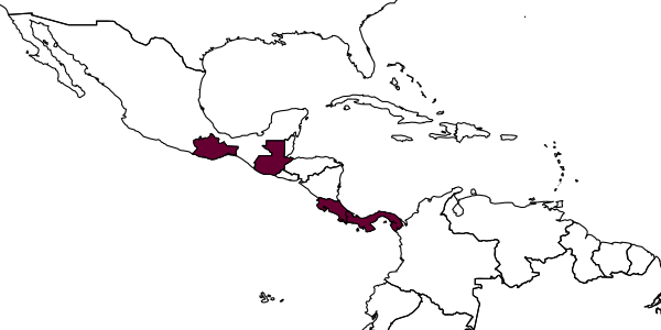 map of Ormyrus venustus     Hanson, 1992
