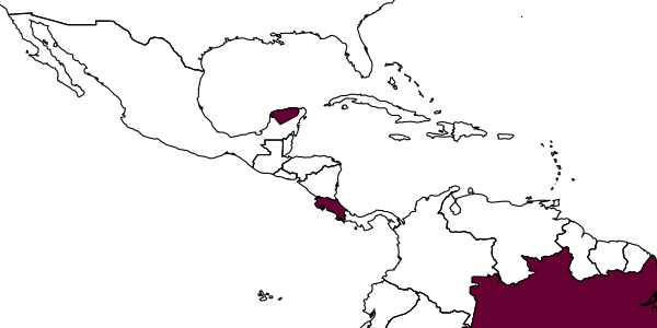 map of Caingangia flavokolos     Marsh, 1993