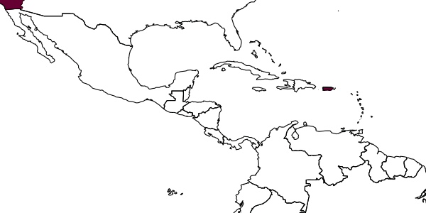 map of Pachyneuron eros     Girault, 1917