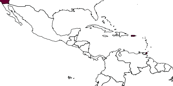 map of Apsilophrys capsicum     (Burks, 1967)