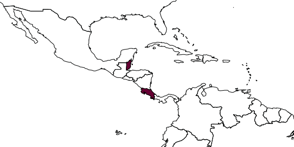 map of Conura janzeni     Delvare, 1992