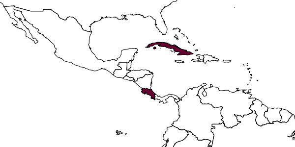 map of Pegoscapus jimenezi     (Grandi, 1919)
