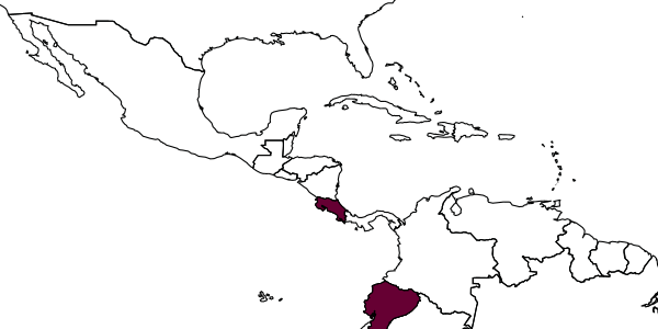 map of Minicrabro gaspari     Leclercq, 2003