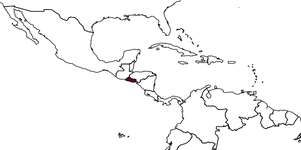 map of Anisepyris speciosus     Evans, 1967