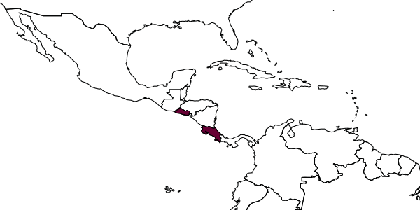 map of Solierella costaricae     Bohart, 1990
