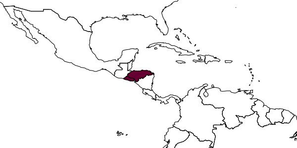 map of Andrena vidalesi  vidalesi   Cockerell, 1949