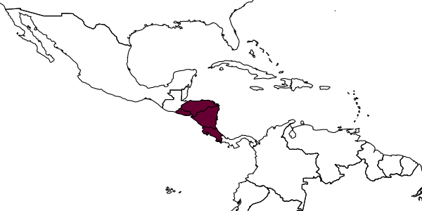 map of Pseudomethoca bicarinata     Cambra & Quintero, 2008