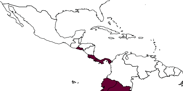 map of Bakeriella reclusa     (Evans, 1969)