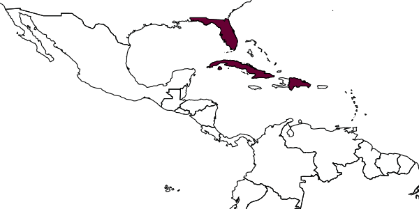 map of Trissolcus elimatus     Johnson, 1987