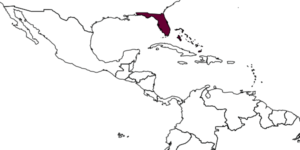 map of Megachile bahamensis     Mitchell, 1927