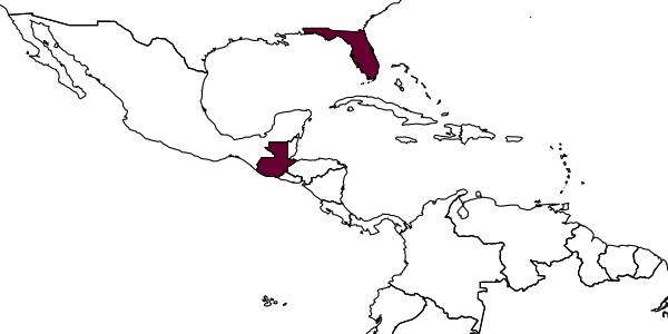 map of Palaeoneura durwest     Triapitsyn, in Triapitsyn & Aquino, 2010