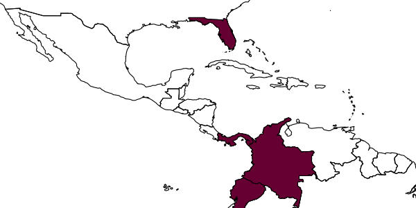 map of Partamona aequatoriana     Camargo, 1980
