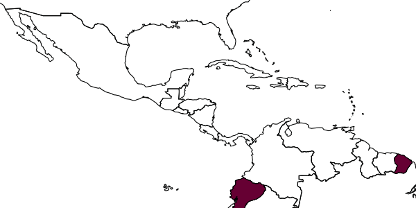 map of Messatoporus tenuissimus     Santos, in Santos & Aguiar, 2013