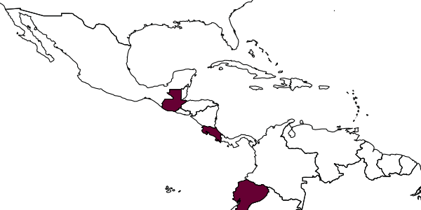 map of Gonatopus mirabilis     Olmi, 1987