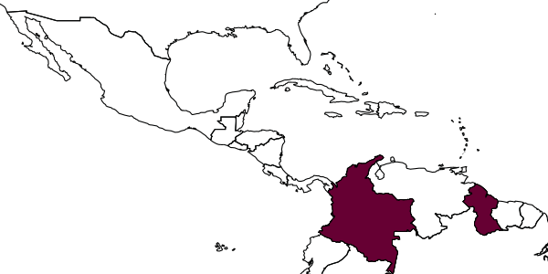 map of Rogeria prominula     Kugler, 1994