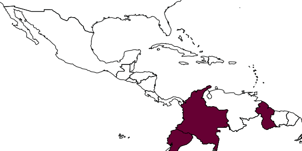map of Quexua essequibo     Pate, 1942