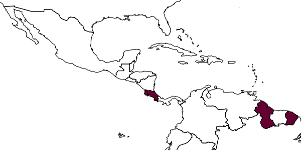 map of Dorymyrmex pyramicus  guyanensis   Santschi, 1922