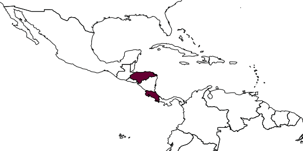 map of Omphale zunigai     Hansson, 2004