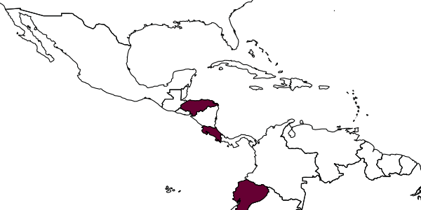 map of Pachamama speciosa     Owen & Pinto, 2004