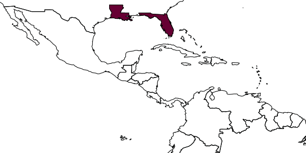 map of Eutanyacra melanotarsis     Heinrich, 1972