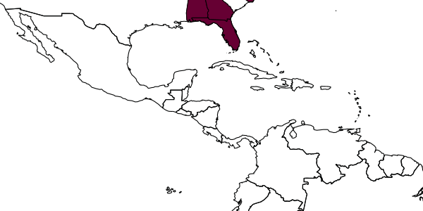 map of Tachysphex krombeini     Kurczewski, 1971