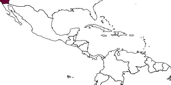 map of Andrena macoupensis     Robertson, 1900