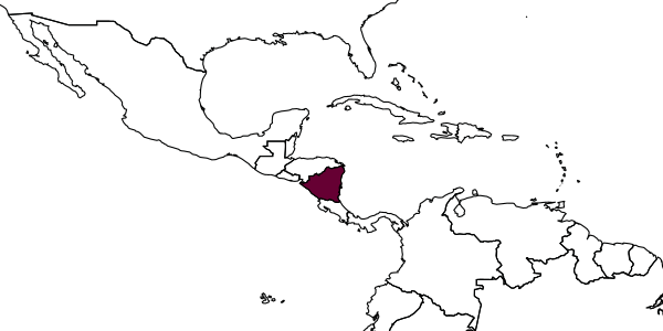 map of Conura juanita     Hernandez