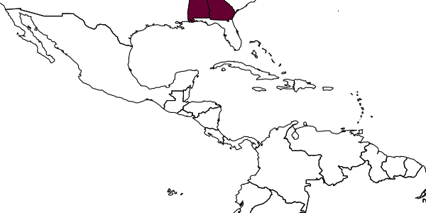 map of Taxonus pallipes     (Say, 1823)