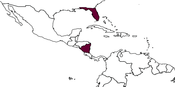 map of Anisepyris gibbosifrons     Evans, 1959