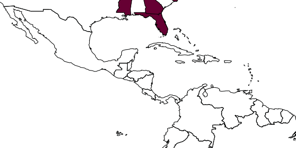 map of Perdita boltoniae  chrysopsina   Timberlake, 1928