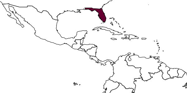 map of Mesochorus parvus     Dasch, 1971