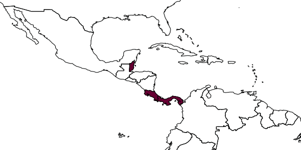 map of Cecidellis inflativena     Hanson