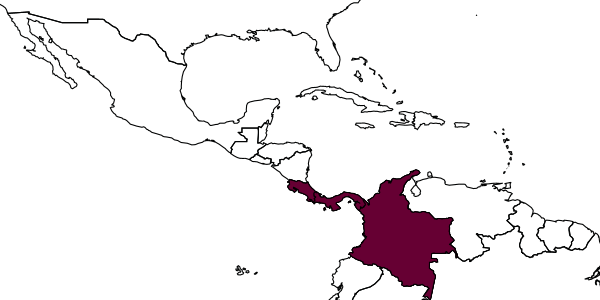 map of Octostruma megabalzani     Longino, 2013
