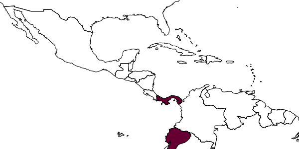 map of Pseudomethoca bimaculata     Cambra & Quintero, 2008