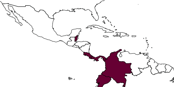 map of Melanocryptus hadroglyptus     Aguiar, in Aguiar & Santos, 2015