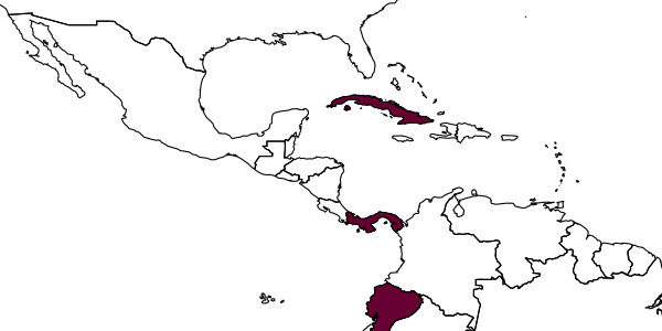 map of Enicospilus woldai     Gauld, 1988