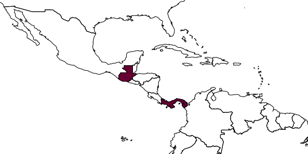 map of Opius guatemalensis     Fischer