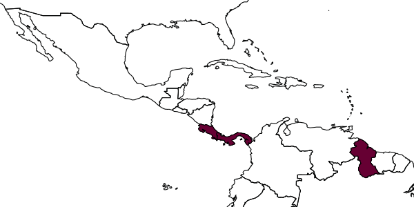 map of Foxita galibi     Pate, 1942